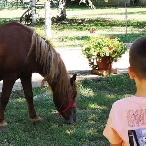 Izleti, Vrtić Bubica-4