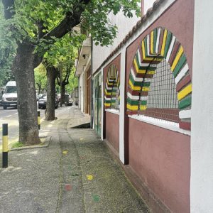 Vrtić Bubica, Zvezdara